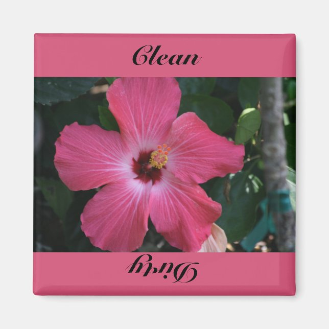 ren, smutsig magnet (Framsidan)