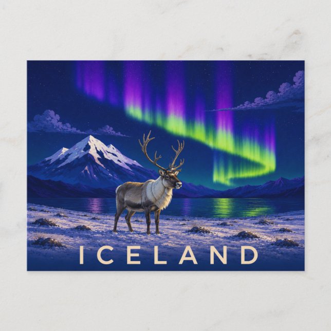 Ren under Aurora | Ikoniskt Island Vykort (Framsida)