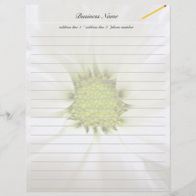 ren vit daisy blomma (Framsida)