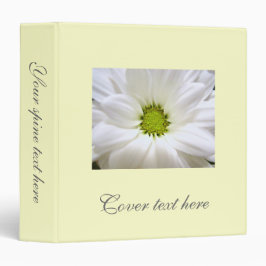 ren vit daisy blomma