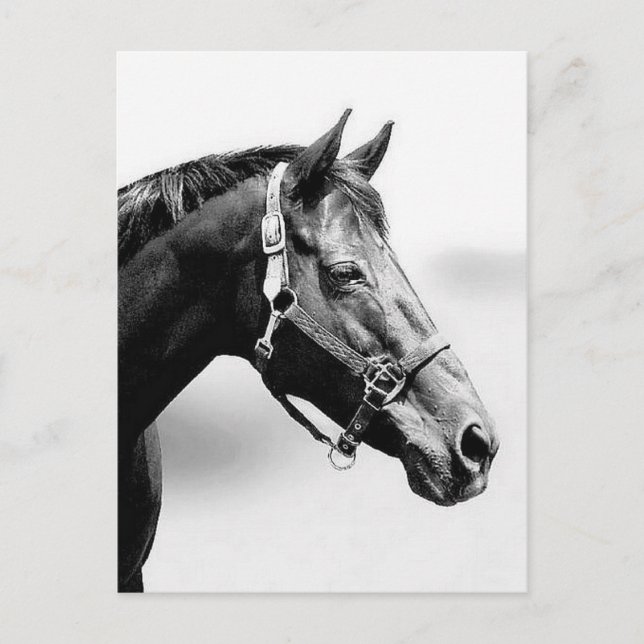 ren vykort (Framsida)