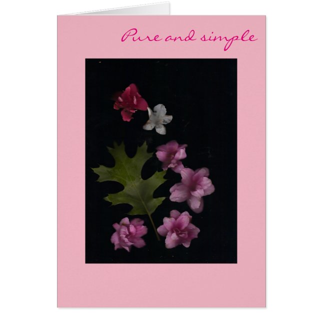 Rena rosor hälsningskort (Framsidan)