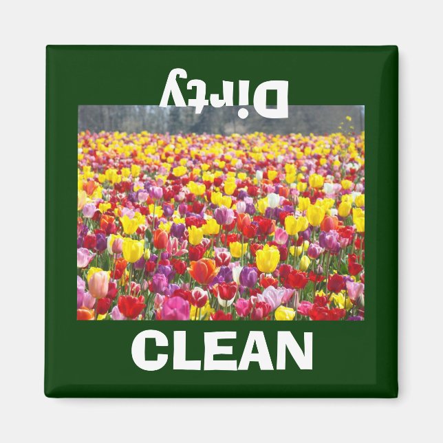 RENA Smutsiga diskmaskin magneter Tulpaner Blommor (Framsidan)