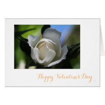 Rena vit ros-blomman lycklig Alla hjärtans