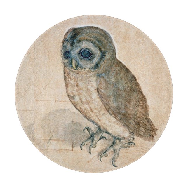 RENAISSANCE ANIMAL TECKNING / UGGLA  (Framsidan)