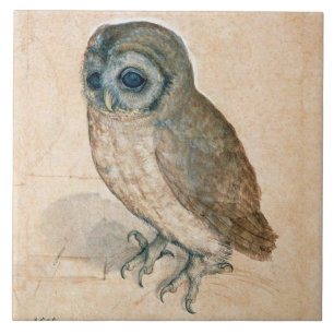 RENAISSANCE ANIMAL TECKNING / UGGLA KAKELPLATTA