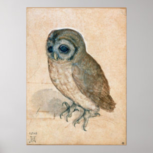 RENAISSANCE ANIMAL TECKNING / UGGLA POSTER