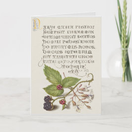 Renaissance Blackberry Fruit Calligraphy Kort