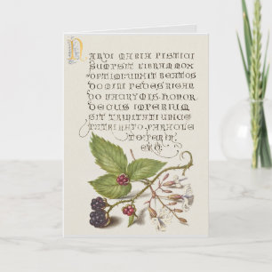Renaissance Blackberry Fruit Calligraphy Kort