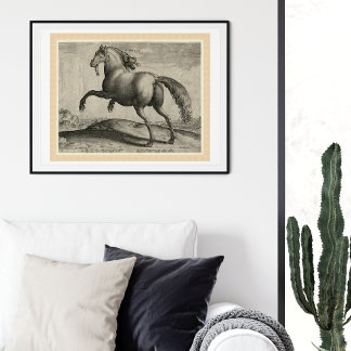 Renaissance Stallion Spain Horse by Stradanus Poster