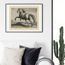 Renaissance Stallion Spain Horse by Stradanus