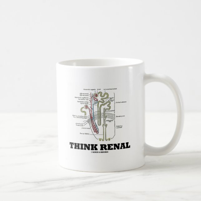Renal tänka (njure Nephron) Kaffemugg (Höger)