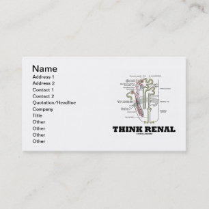 Renal tänka (njure Renal Nephron) Visitkort