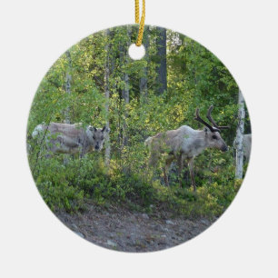 Renar i Lappland, prydnadsföremål Julgransprydnad Keramik