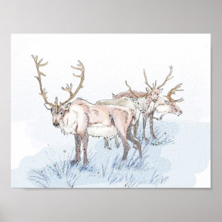 Renar i Snö Skriv ut Poster