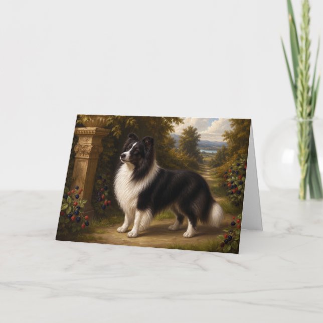 Renässans Shetlandsponny Blank Kort (Framsida)