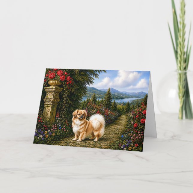 Renässans Tibetansk Spaniel Kort (Framsida)