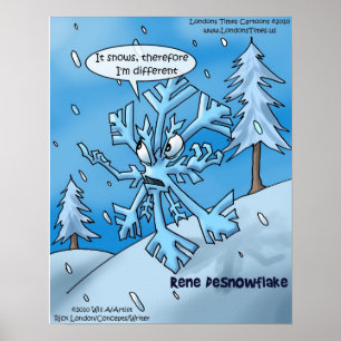 Rene Descartes Snowflake Funny Poster