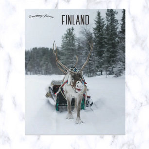 Rener i Kittilä Lapland Finland Vykort