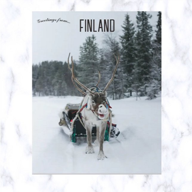 Rener i Kittilä Lapland Finland Vykort (Skapare uppladdad)
