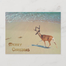 Rener på stranden surrealisk God Jul Vykort