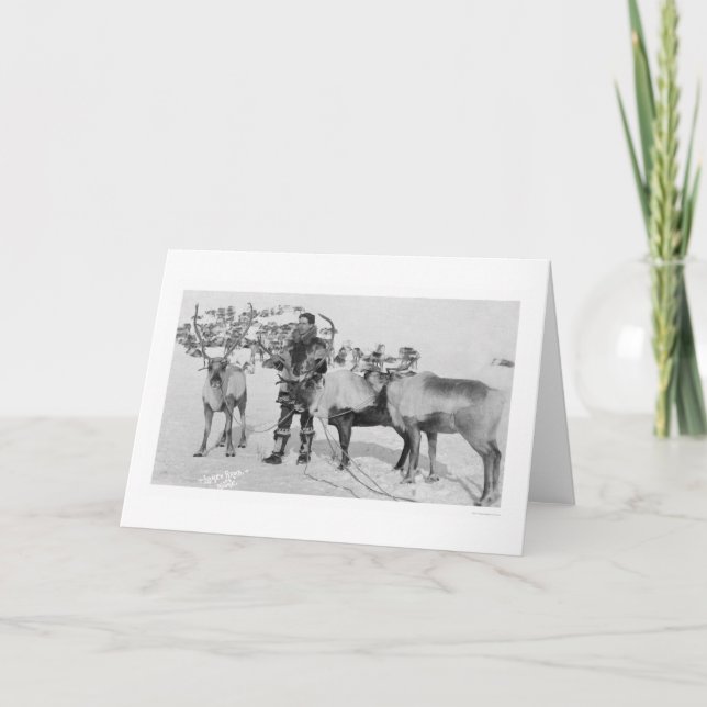 Renflock Alaska 1909 Helgkort (Framsida)