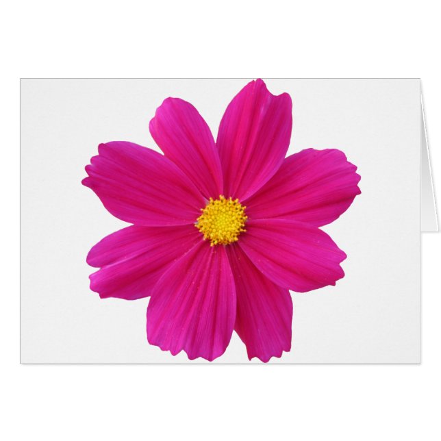 Rengör.png Hälsningskort (Framsidan Horizontal)