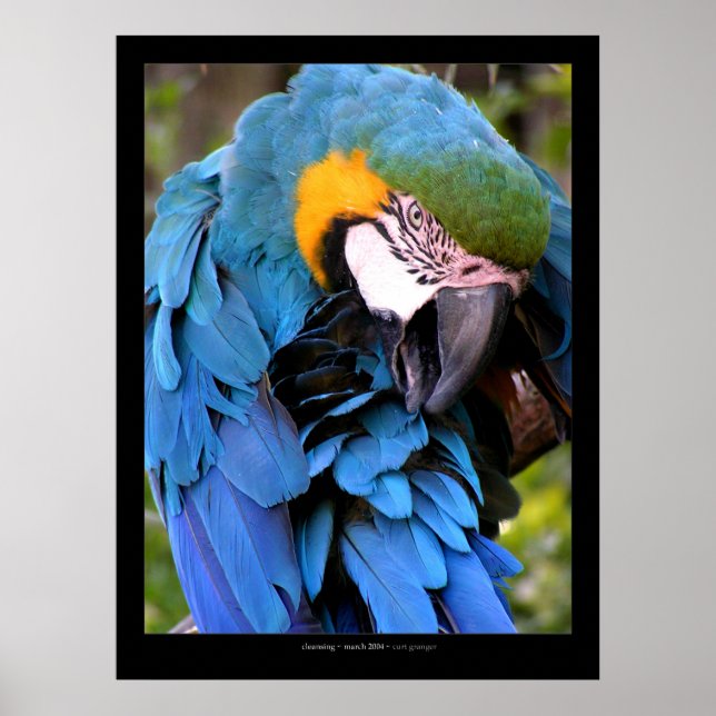 Rengöring Poster (Framsidan)