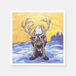 Rengöringsgåvor och tillbehör pappersservett