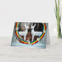 Renheter av julklapp med Helgdag