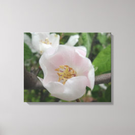 Renhetsarbetsyta Canvastryck