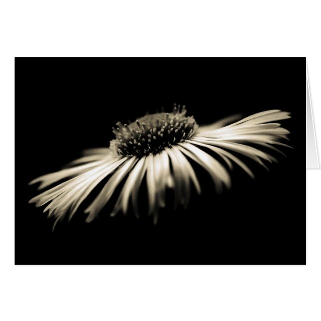 Renhetsgrad Hälsningskort (Framsidan Horizontal)