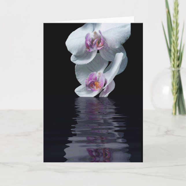 Renhetsgrad Kort (Framsida)