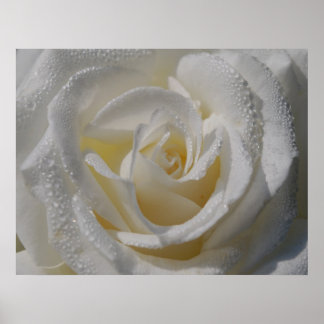 "Renhetsgrad" Poster