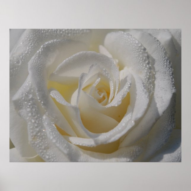 "Renhetsgrad" Poster (Framsidan)