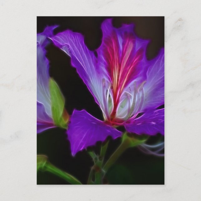 Renhetsgrad Vykort (Framsida)