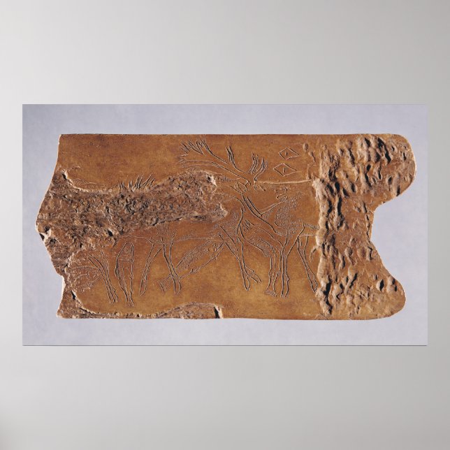 Renhorn som sköljs med hjort och tappas. poster (Framsidan)