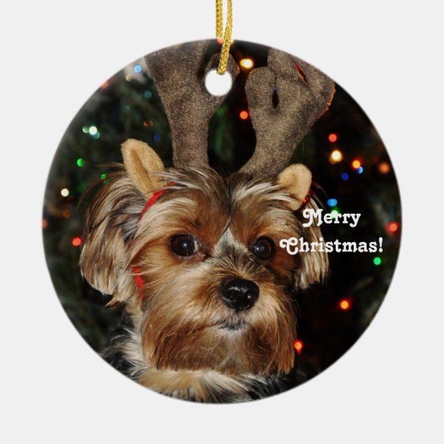RenHornsYorkshire Terrier, god jul! Julgransprydnad Keramik (Framsidan)