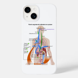 Renin- Angiotensin System Chart Human Body Diagram