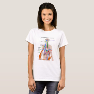 Renin- Angiotensin System Chart Human Body Diagram T Shirt