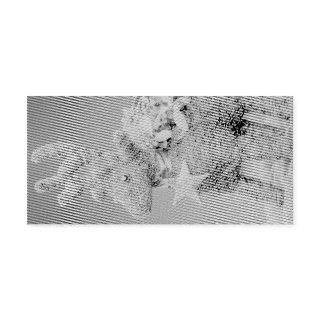 Renjuldekoration Självfärgande Stämpel (Design)