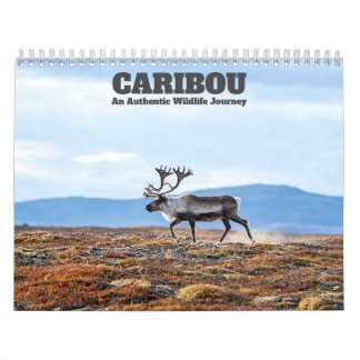Renkalender för Caribou 2027 Kalender