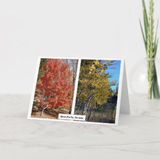 Reno Parker in Fall, Nevada, Photography J.Halko Kort