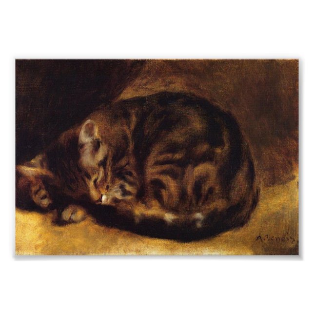 Renoir Sleeping Cat Print Fototryck (Framsidan)