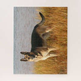 Renrasiga tyska Shepherd II Pussel