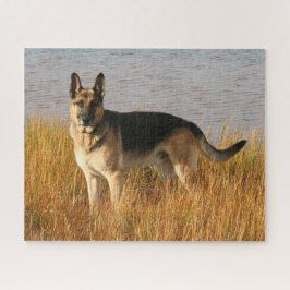 Renrasiga tyska Shepherd II Pussel