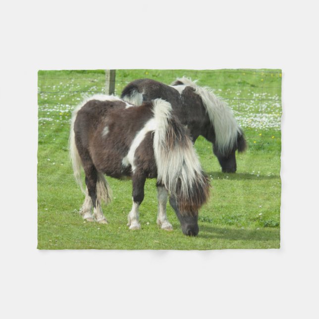 Renrasrena Shetlandsfärgmångfölshästar Fleecefilt (Framsidan (Horisontell))