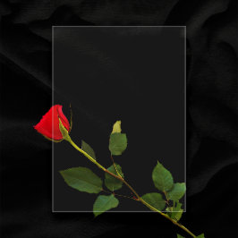 Rensa 5-tums x 7-tums tom Bröllop-meny