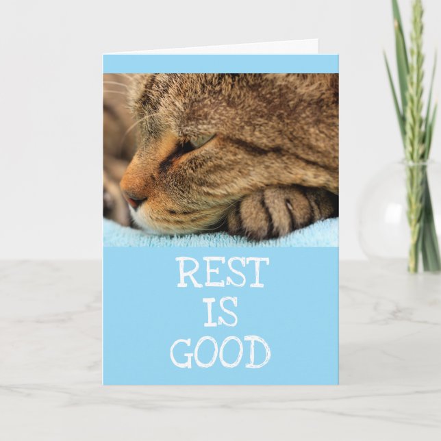Rensa Cat Kattunge Advice - få bra service Kort (Framsida)