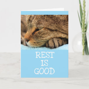 Rensa Cat Kattunge Advice - få bra service Kort